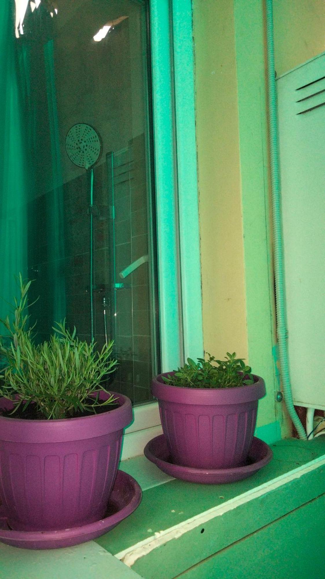 Casa Vacanza Kadya Turin Luaran gambar